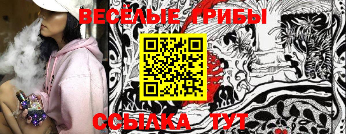 Псилоцибиновые грибы Psilocybine cubensis Горно-Алтайск